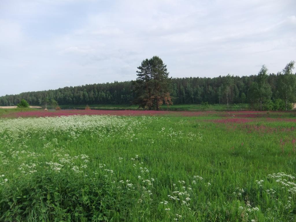 Nature Retreat "Upes Dizvietas" Krāslava Exterior foto
